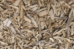 biomass boilers Edmondbyers